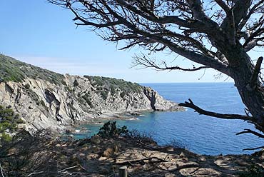 Port Cros - Küste