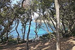 Port Cros - Uferweg
