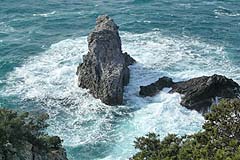 Presqu'ile de giens - Brandung