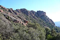 Macchia